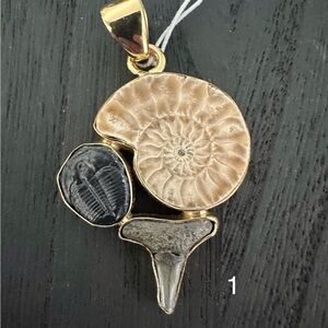 Triple Fossil Pendant (Ammonite, Trilobite, and Shark Tooth) *RARE - NWT